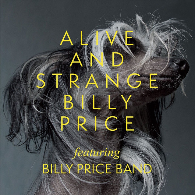 Alive And Strange cover art