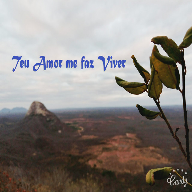 Teu Amor Me Faz Viver (Acústico) cover