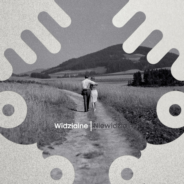 Widzialne | Niewidzialne cover