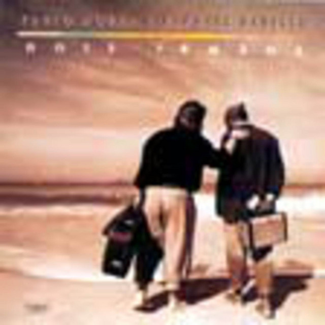 Dois Irmãos cover art