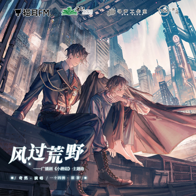 风过荒野 cover