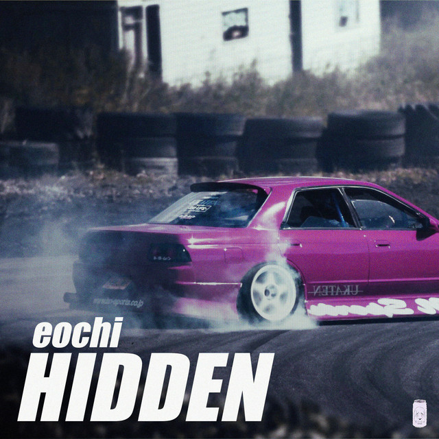 Hidden cover art