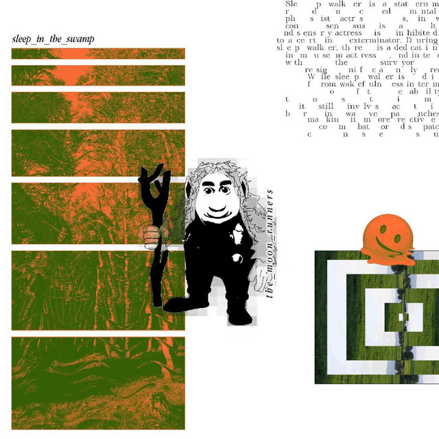 sleep_in_the_swamp cover