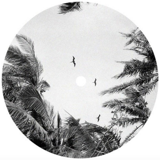 Wait, She... cover art