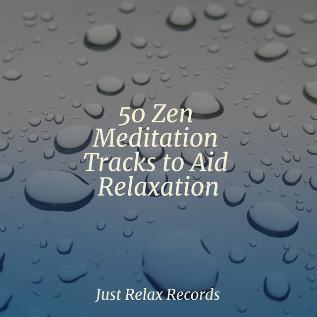 50 Zen Meditation Tracks to Aid Relaxation - Album by Ambient | Spotify