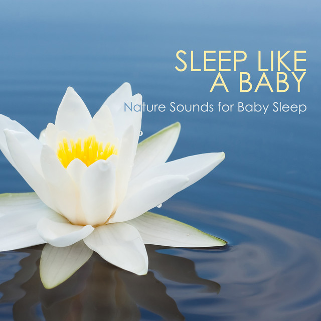 Sleep Like a Baby - White Noise With Nature Sounds for Baby Sleep cover art