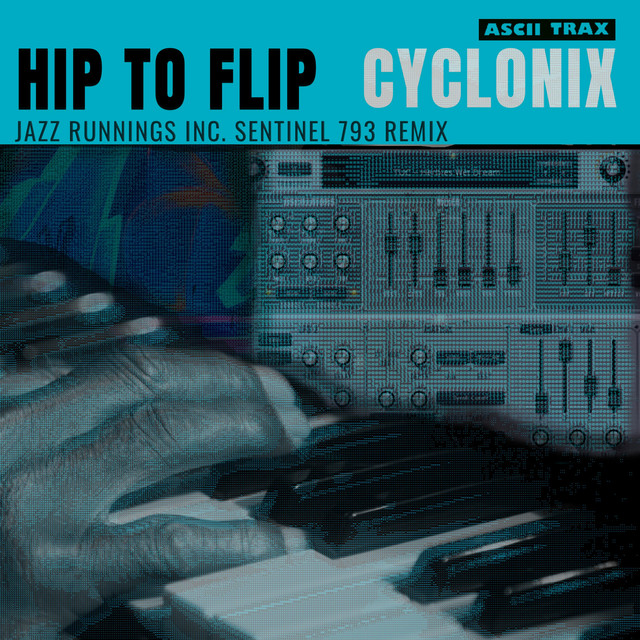 Hip to Flip artwork