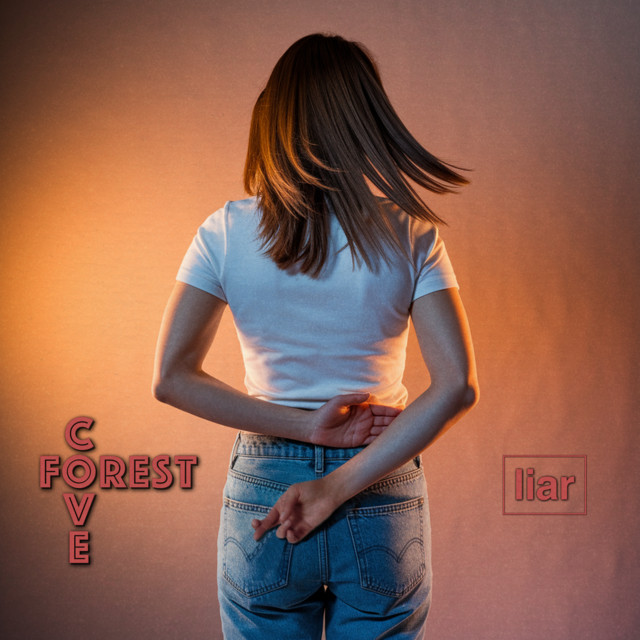 liar cover art