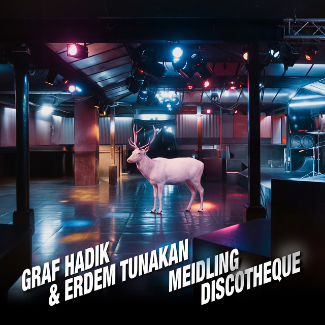 Meidling Discotheque cover
