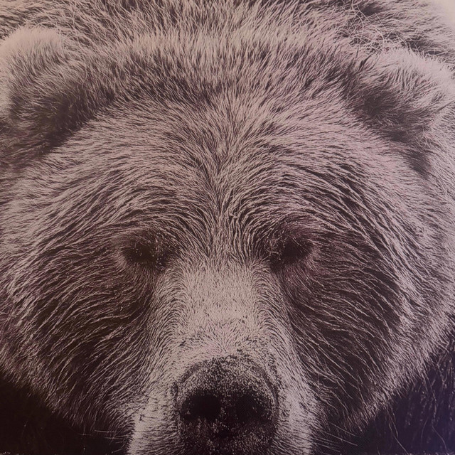 Big Bear