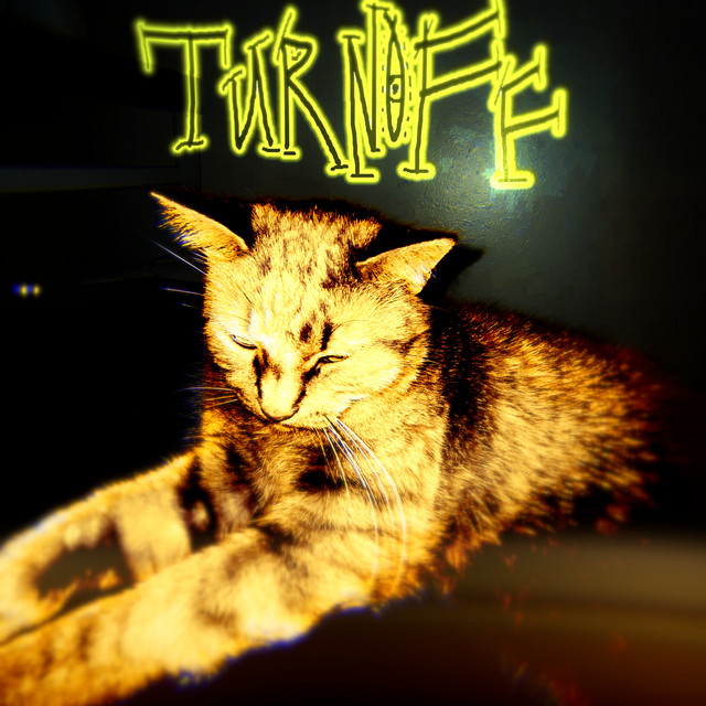 Turnoff cover art