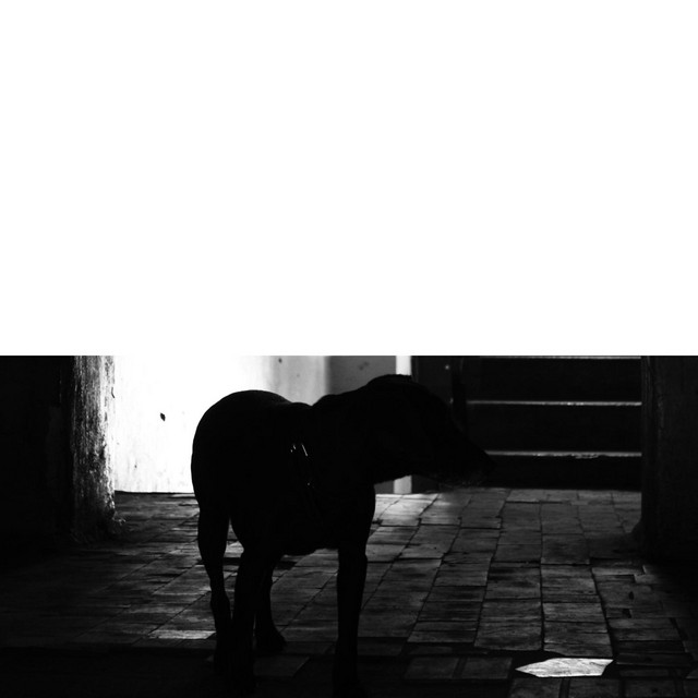 Обкладинка: Ogo — Nometronn