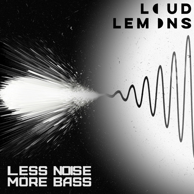 LESS NOISE MORE BASS