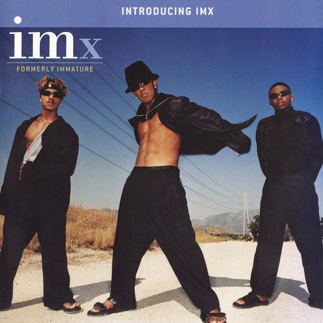 Introducing IMx cover art