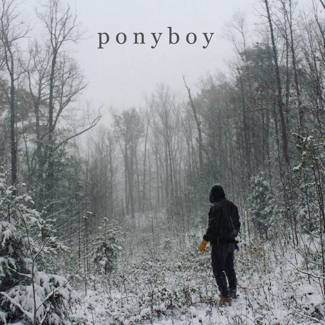 Ponyboy cover art