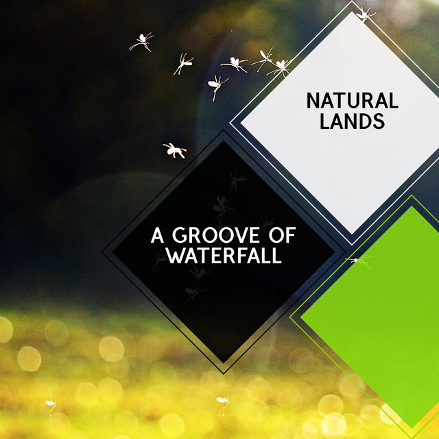 A Groove of Waterfall - Natural Lands cover art