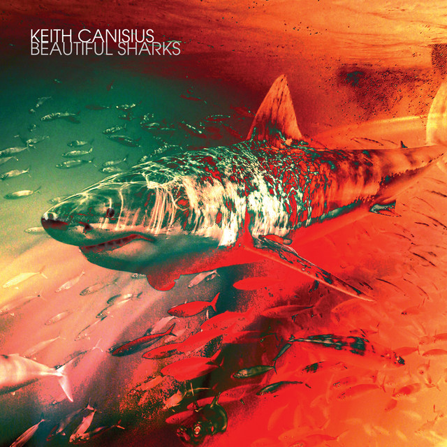 Beautiful Sharks (Alternate Version) cover art