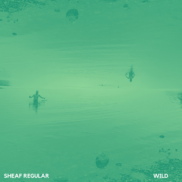 Wild cover art
