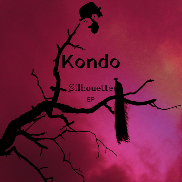 Обкладинка Kondo — Silhouette
