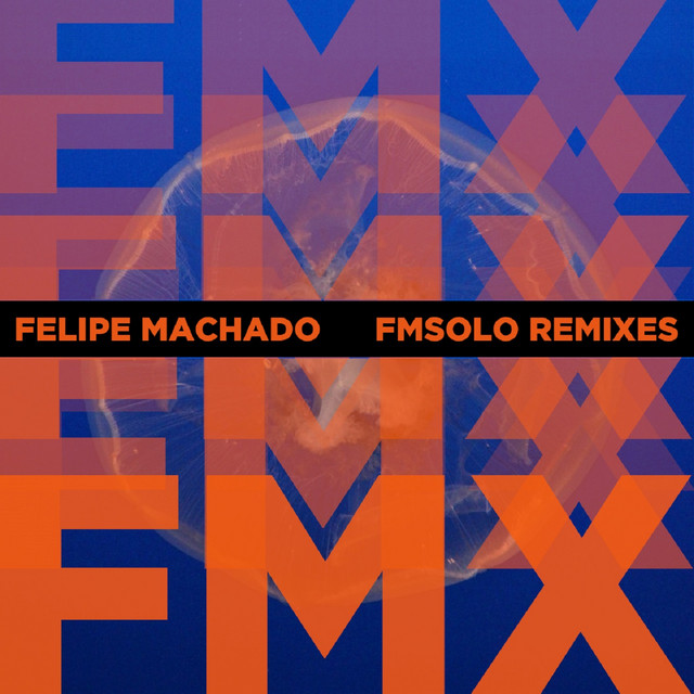 Fmx: Fmsolo Remixes cover art