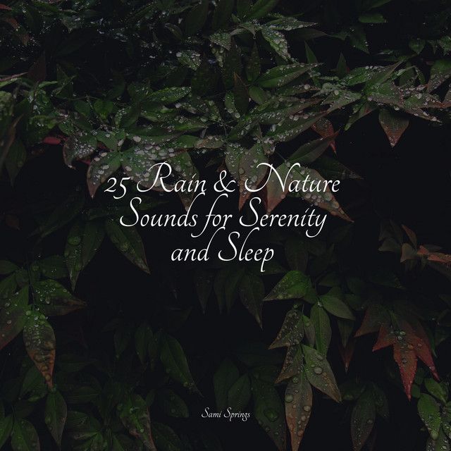 25 Rain & Nature Sounds for Serenity and Sleep - Album by Ambient ...
