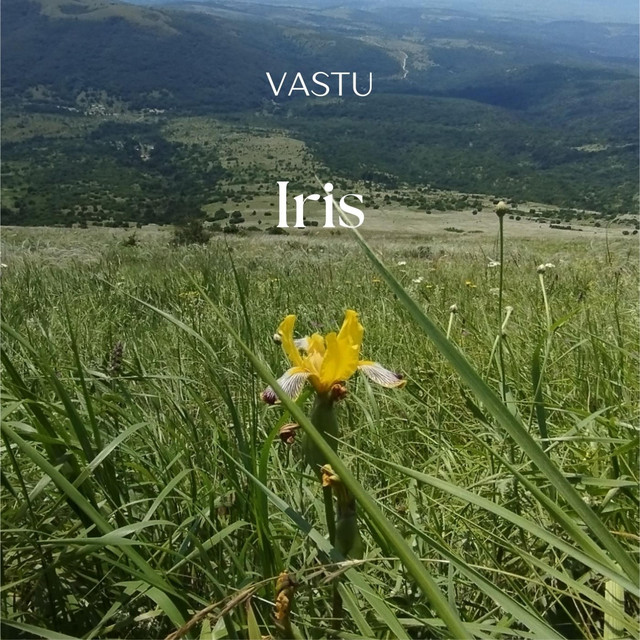 Iris cover art