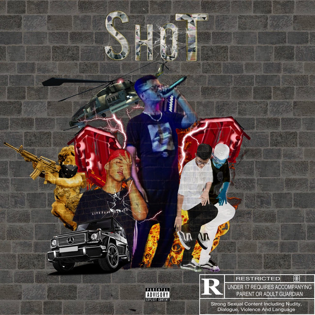 Shot cover art