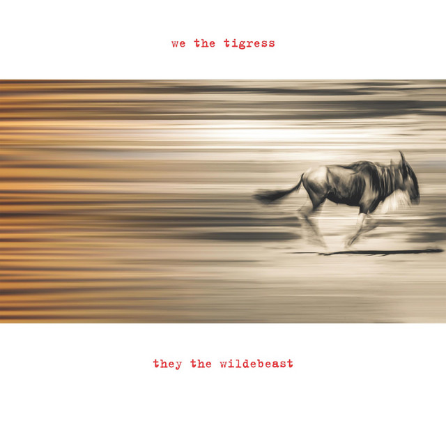 We the Tigress, They the Wildebeast cover art