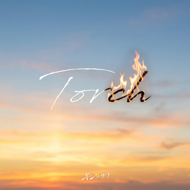 Torch cover