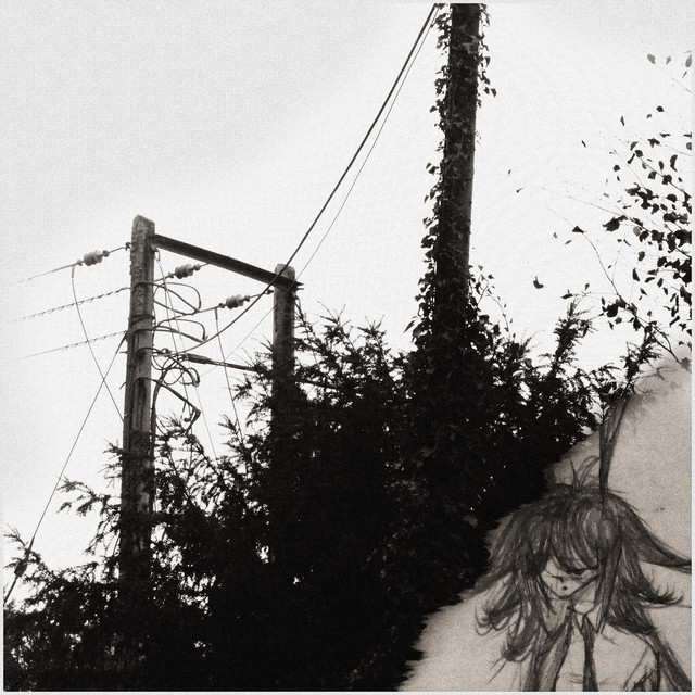 songs to hug duvets to cover art