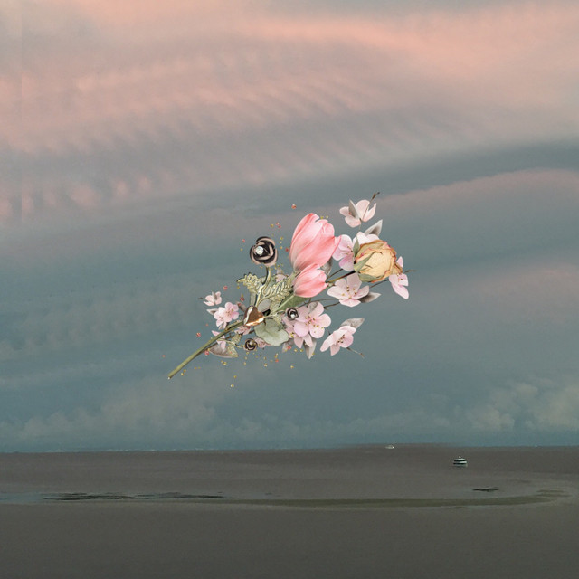Petrichor cover art