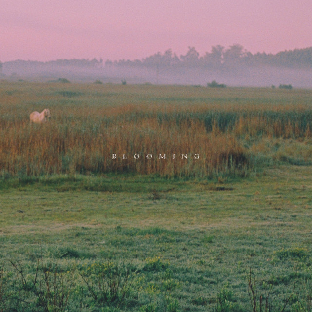 Swan Song