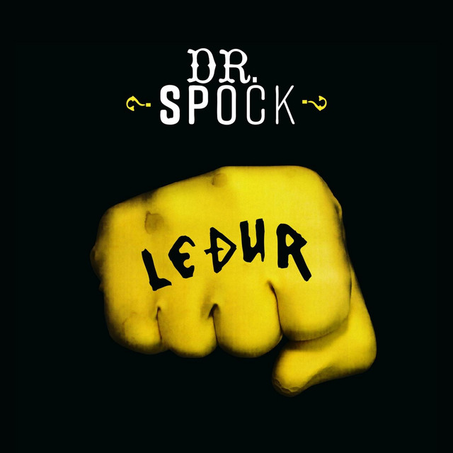 Leður cover