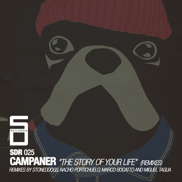 The Story Of Your Life - StonedDogs Remix cover art