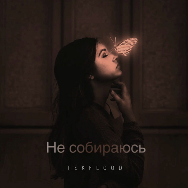 Обкладинка: Не собираюсь — TEKFLOOD