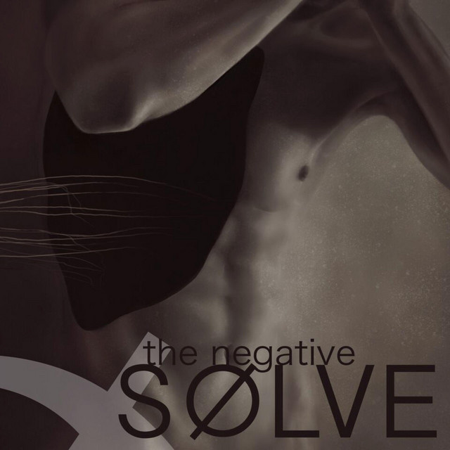 The Negative cover art