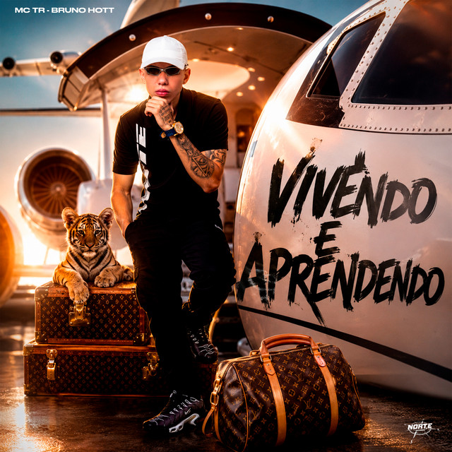 Vivendo e Aprendendo