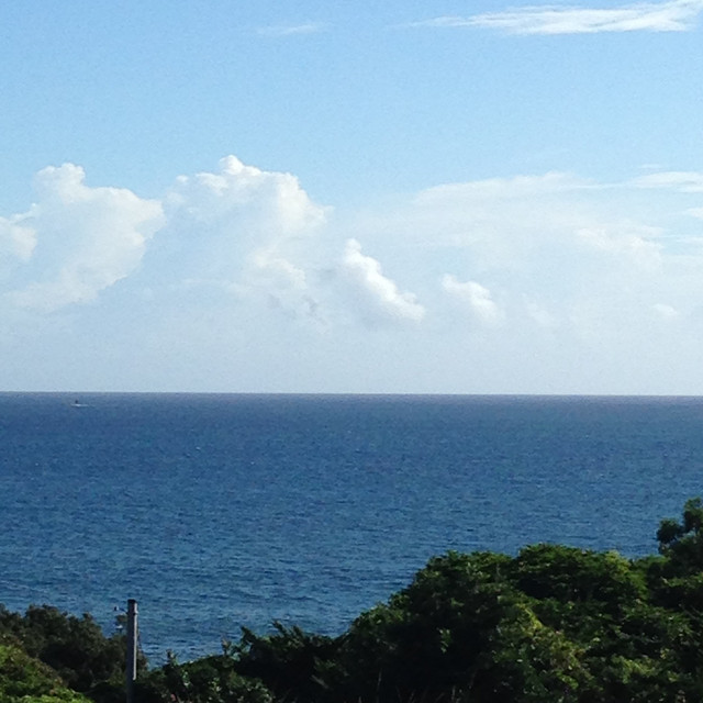 五月のそよ風 Song And Lyrics By Mico Spotify