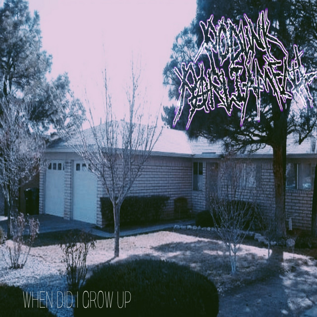 When Did I Grow Up cover art