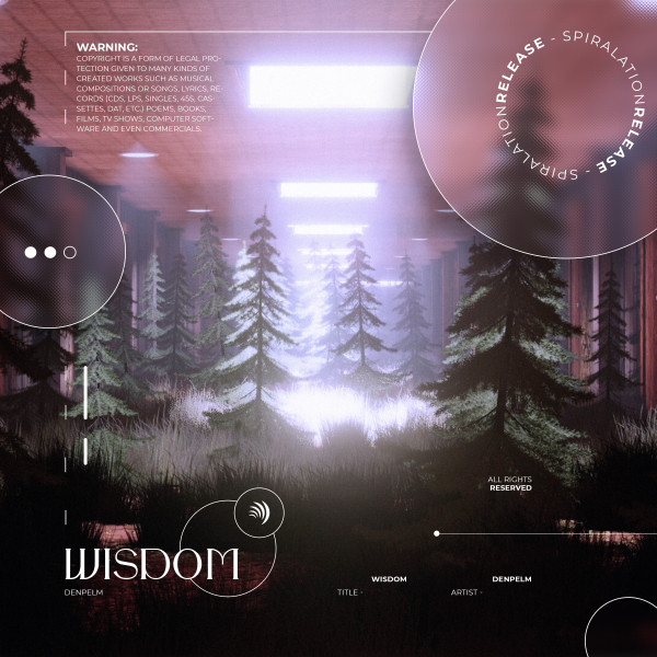Wisdom cover art