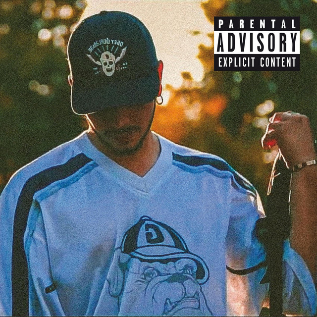 Vaffanculo cover art