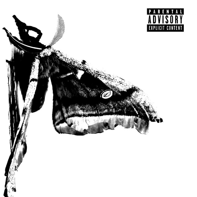 BOLD FACED WARNING cover art