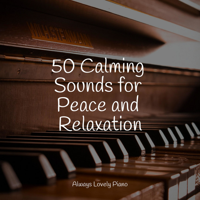 50 Calming Sounds for Peace and Relaxation - Album by Study Music ...