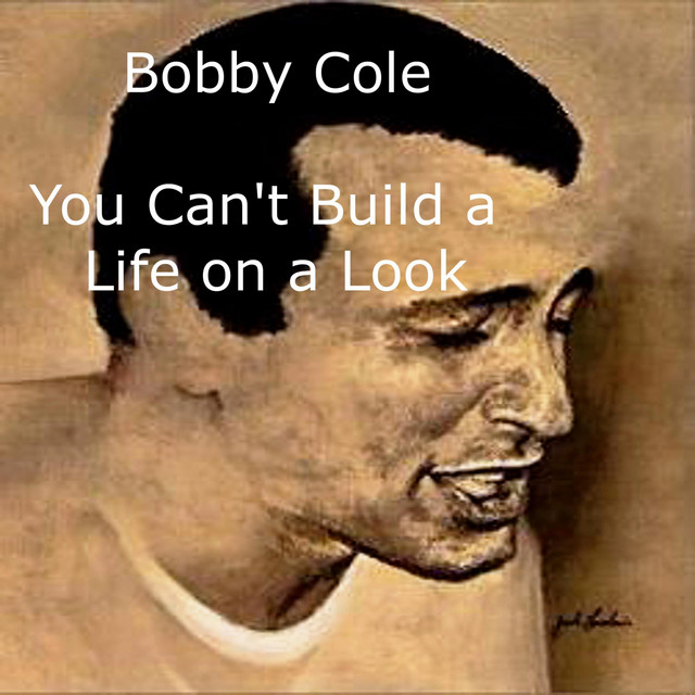 Cover du titre You Can't Build a Life on a Look