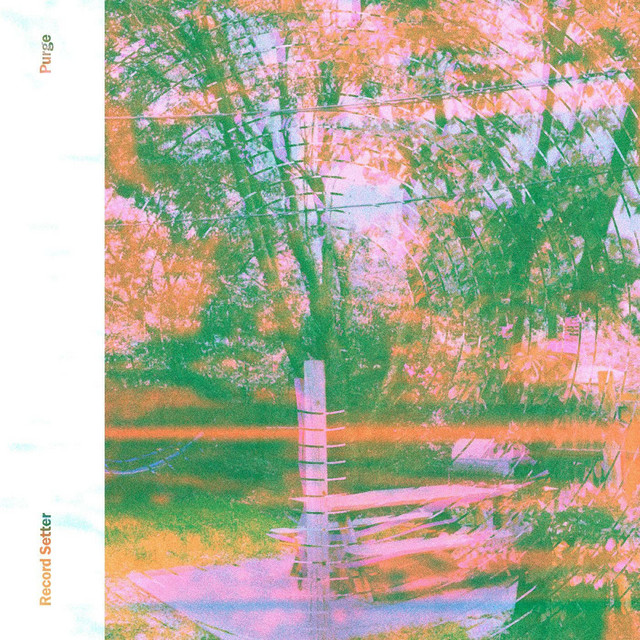 Purge cover art