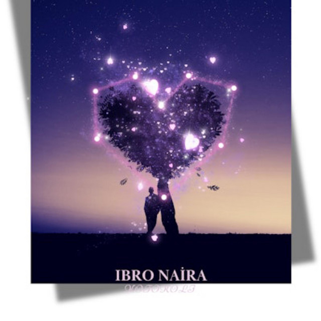 Ibro Naira cover