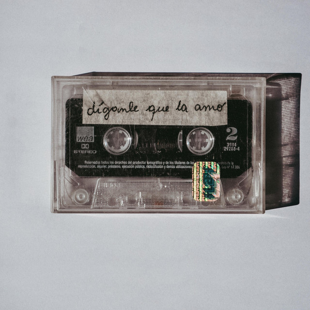 díganle que la amo cover art