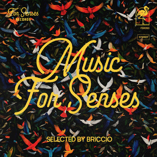Music for Senses - ADE 2024 Compiled by BRICCIO (DJ Mix)