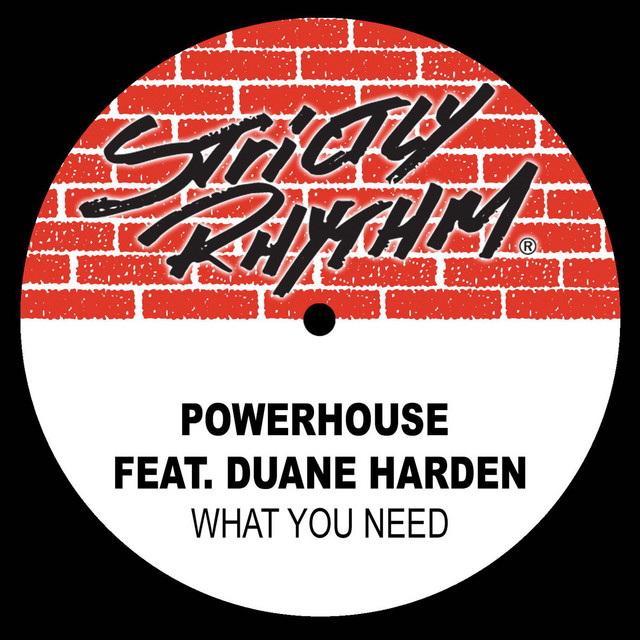 What You Need (feat. Duane Harden) - Full Intention Power Mix