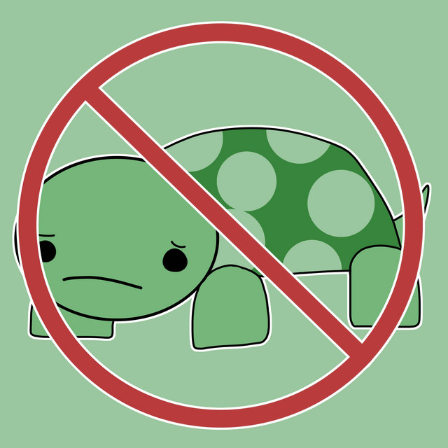 Do Not Type Turtle cover art